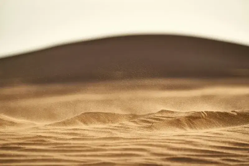 Cover Image for Embracing Nature's Rhythm: The Healing Power of Desert Winds