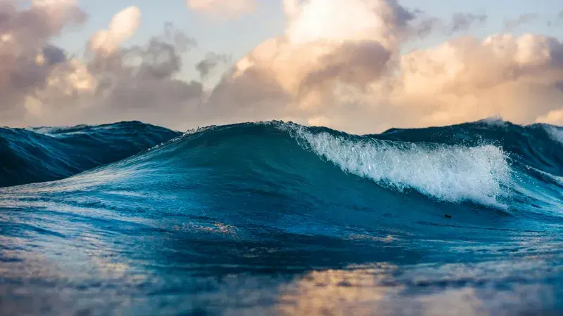 Cover Image for Embracing Ocean Waves: A Mindfulness Guide to Coastal Nature