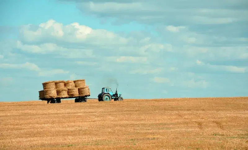 Cover Image for Embracing Rural Serenity: The Benefits of Connecting with Nature