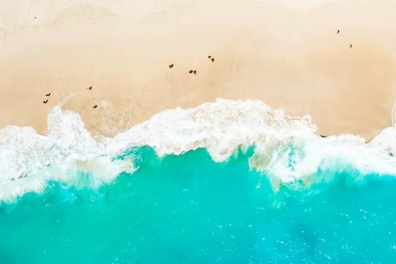 Cover Image for Embracing the Calm: Lessons from the Sea