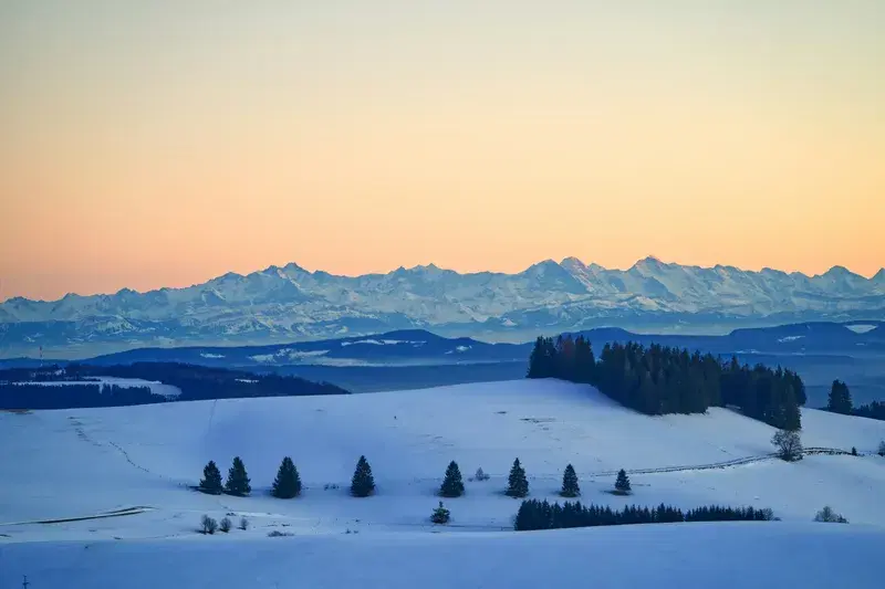 Cover Image for Embracing Winter's Beauty: Mindfulness in Nature