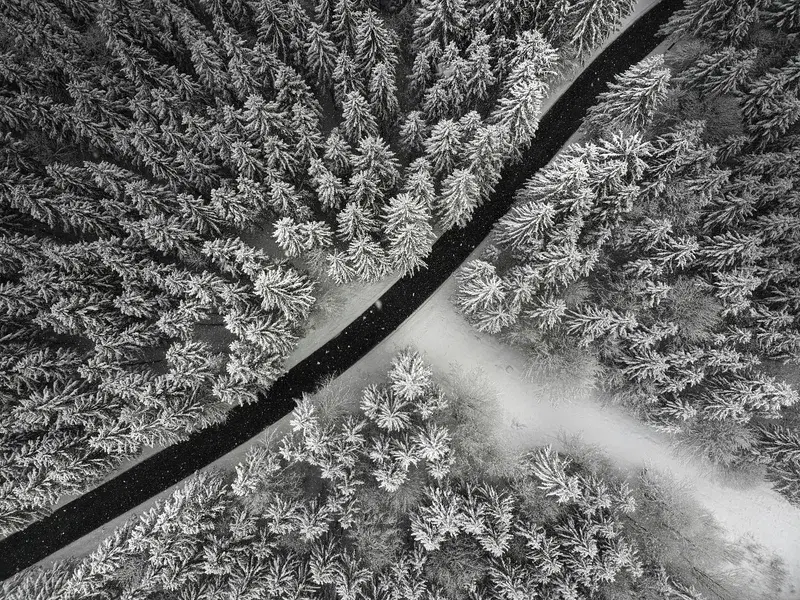 Cover Image for Embracing Winter: The Beauty of Snow-Covered Landscapes