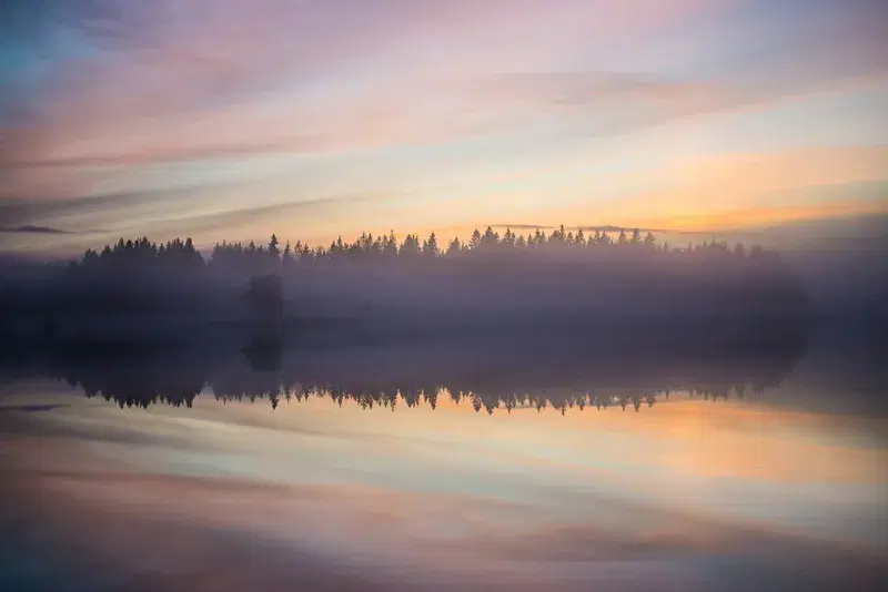 Cover Image for Embracing Winter: Finding Mindfulness in Nature