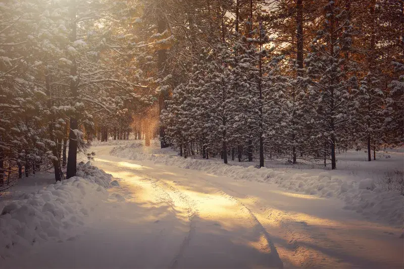 Cover Image for Embracing Winter: Finding Mindfulness in Nature's Beauty