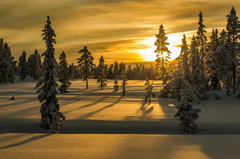 Cover Image for Embracing Winter: Mindfulness in Norway's Natural Beauty