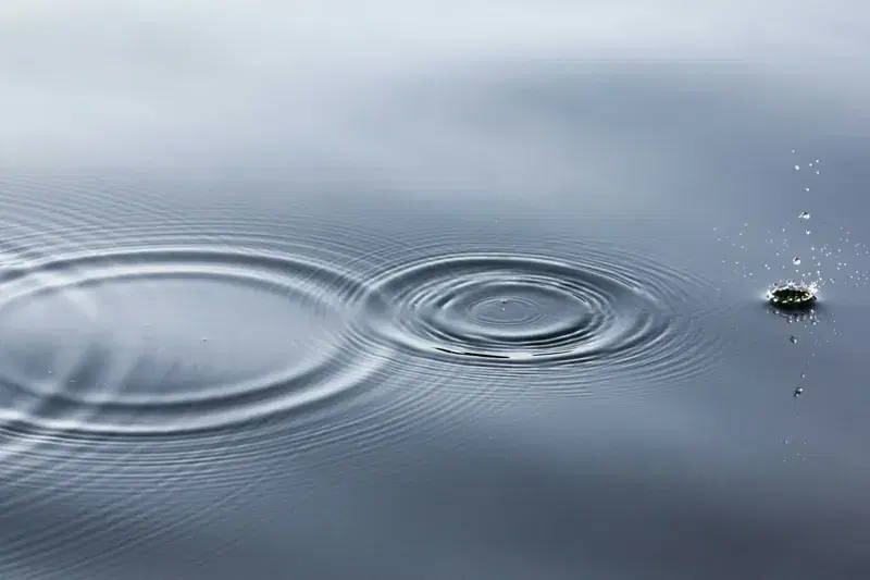 Cover Image for Finding Beauty in Nature: The Mindfulness of Water Patterns