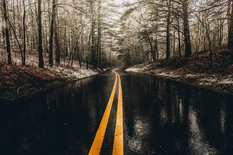 Cover Image for Finding Calm in Nature: The Benefits of a Rainy Day Walk