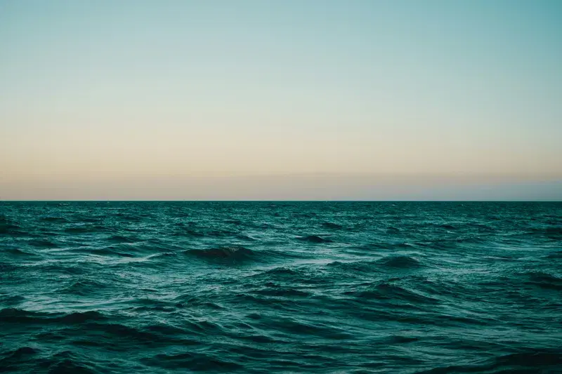 Cover Image for Finding Calm in Nature: The Benefits of Being Near Water