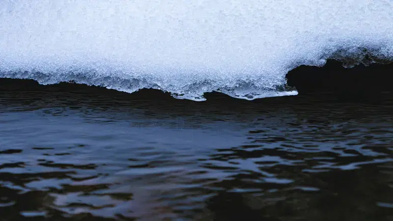 Cover Image for Finding Calm in Nature: The Healing Power of Water