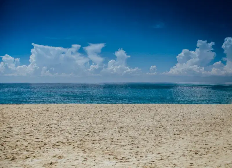 Cover Image for Finding Calm in Nature: The Benefits of Ocean Landscapes