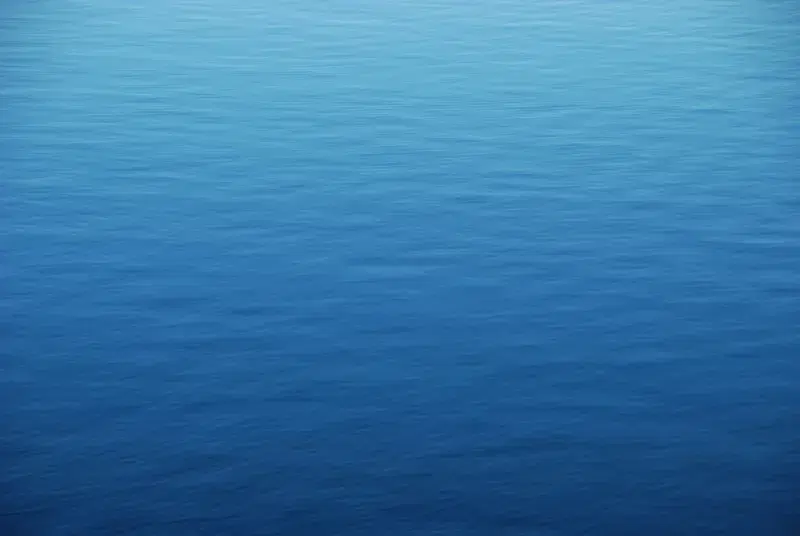 Cover Image for Finding Calm in Nature: The Benefits of Ocean Views for Mental Health