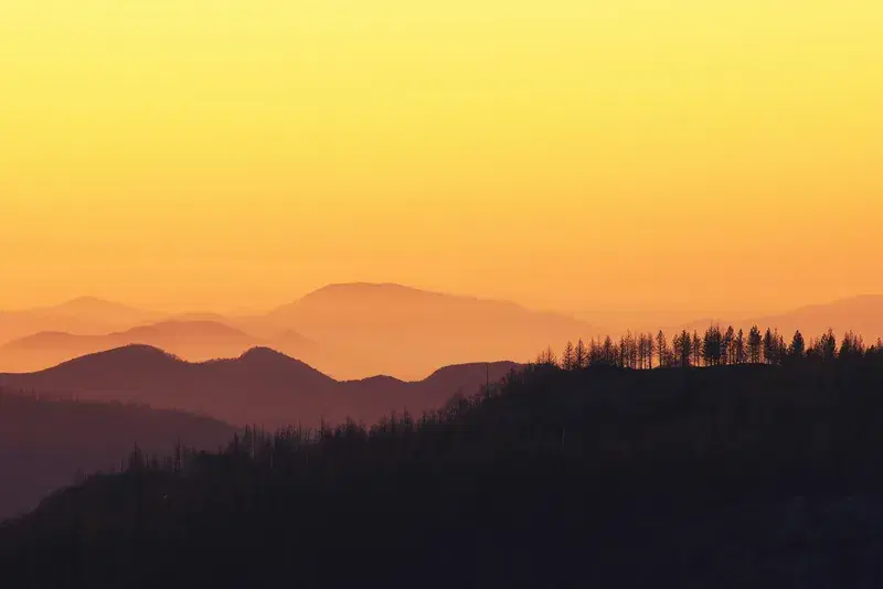 Cover Image for Finding Calm: The Benefits of Nature Walks During Golden Hour