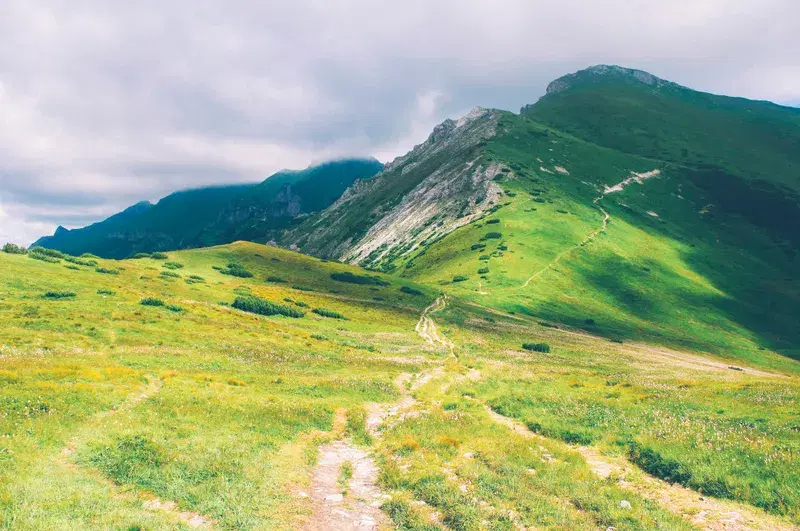 Cover Image for Finding Inner Peace in Nature: The Benefits of Mountain Retreats