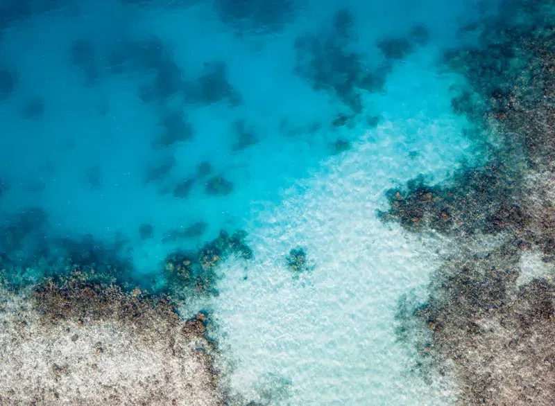 Cover Image for Finding Mindfulness in Nature: The Benefits of Aerial Views