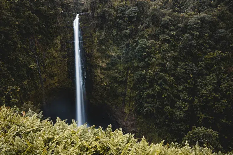 Cover Image for Finding Mindfulness in Nature: The Healing Power of Waterfalls