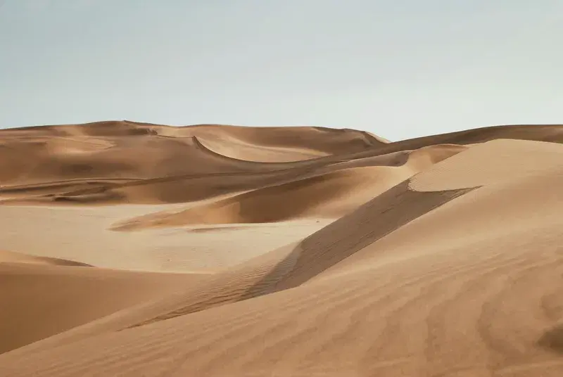 Cover Image for Finding Mindfulness in the Serenity of the Desert
