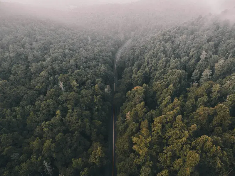 Cover Image for Finding Passion in Nature: A Journey to a Well-Lived Life