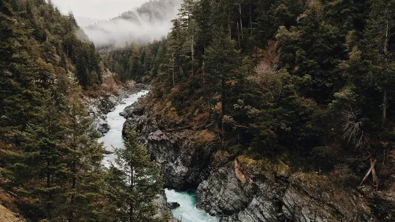 Cover Image for Finding Peace by the River: Embracing Nature for Wellness