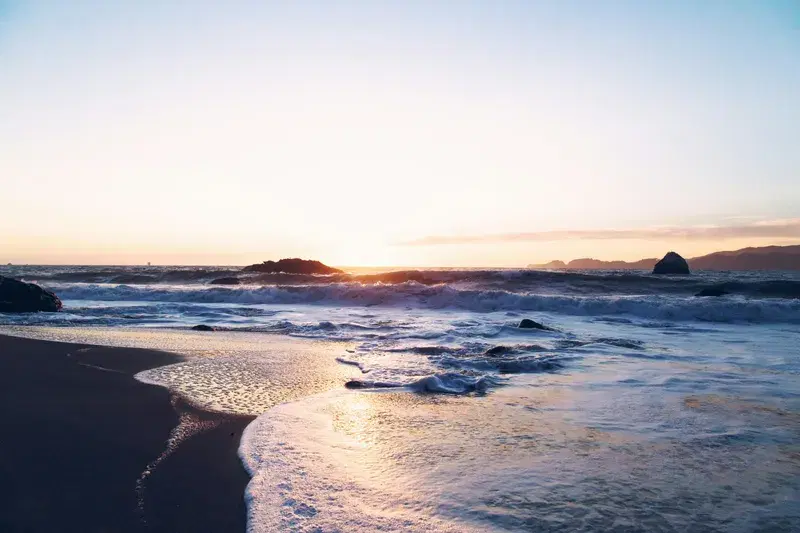 Cover Image for Finding Peace by the Wavy Ocean: Embracing Nature for Wellness