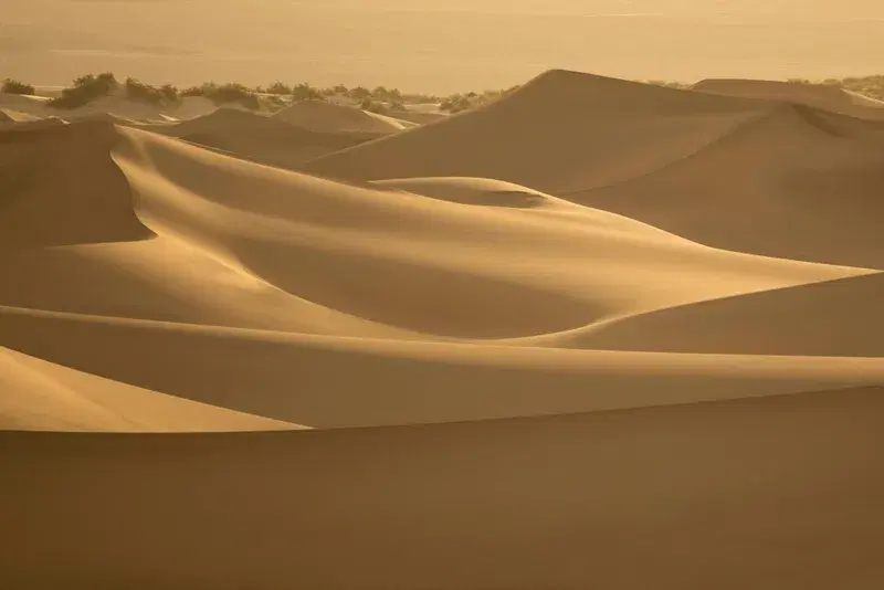 Cover Image for Finding Peace in the Desert: A Mindful Hiking Experience