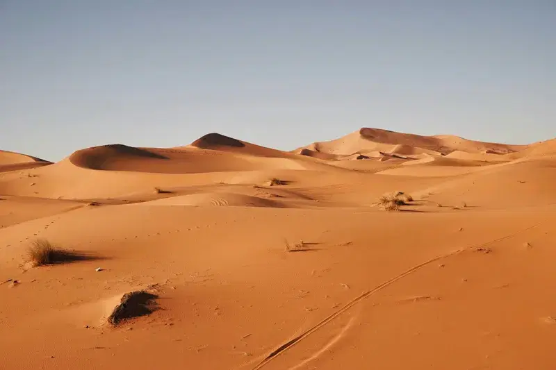 Cover Image for Finding Peace in the Desert: Mindfulness Practices Inspired by Dry Landscapes