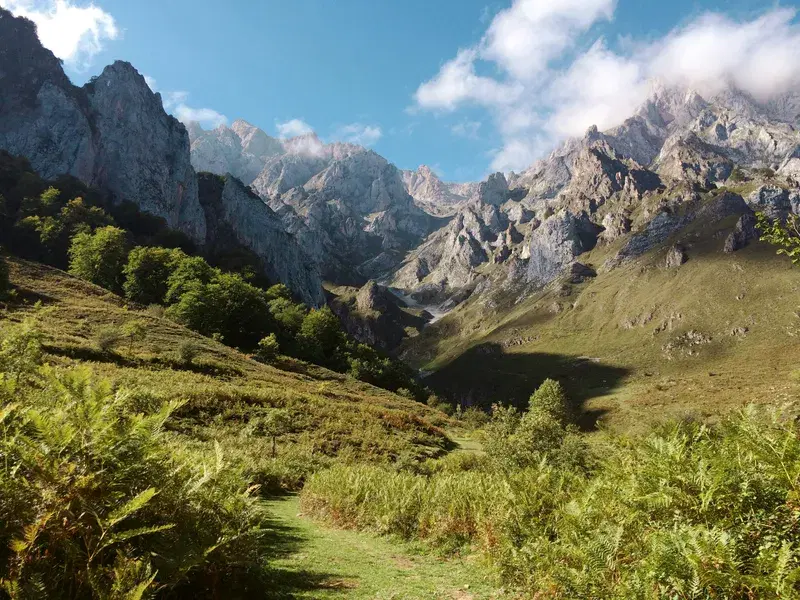 Cover Image for Finding Peace in Nature: The Importance of Wilderness for Mental Well-Being