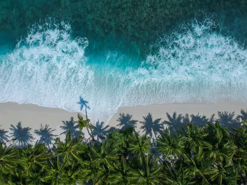 Cover Image for Finding Peace in Nature: Embracing Beach Scenery for Wellness