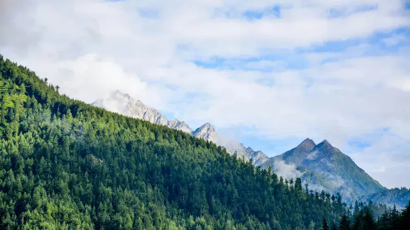 Cover Image for Finding Peace in Nature: The Healing Power of Mountain Landscapes