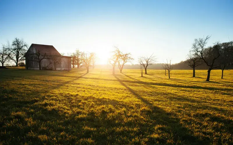 Cover Image for Finding Peace in Nature: The Benefits of Outdoor Meditation