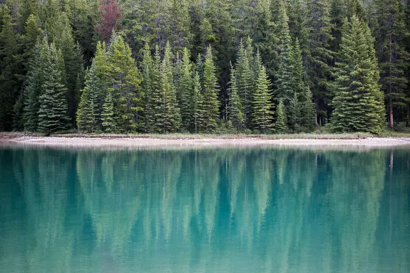 Cover Image for Finding Peace in Nature: The Benefits of Lakeside Reflection