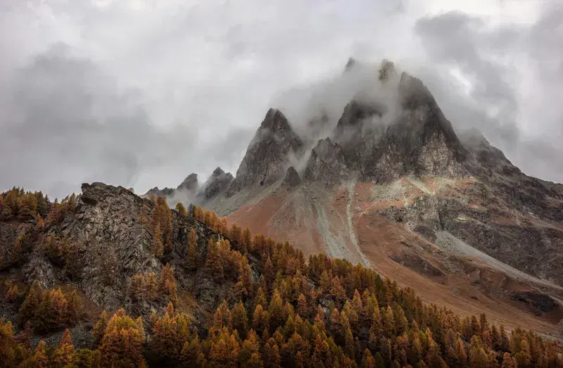 Cover Image for Finding Peace in Nature: The Benefits of Outdoor Scenery