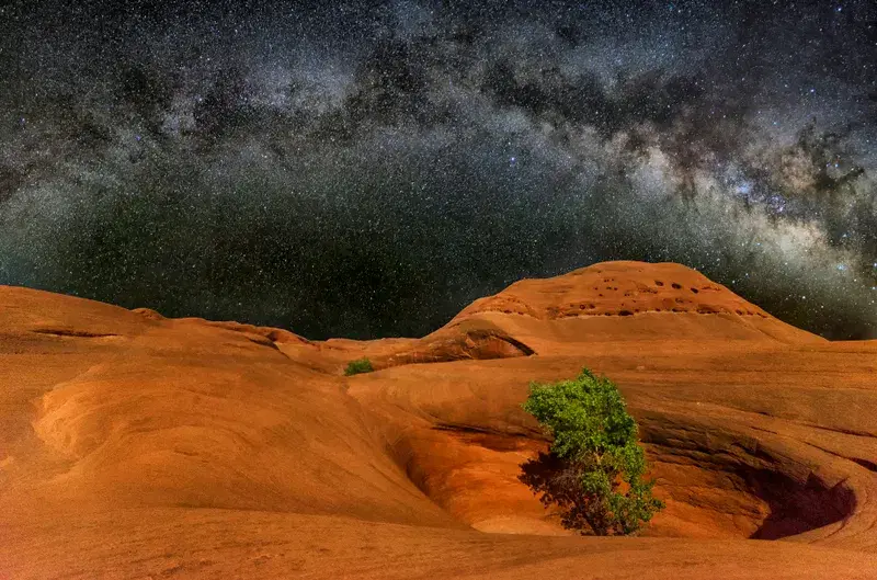 Cover Image for Finding Peace in Nature: The Healing Power of Outdoor Spaces