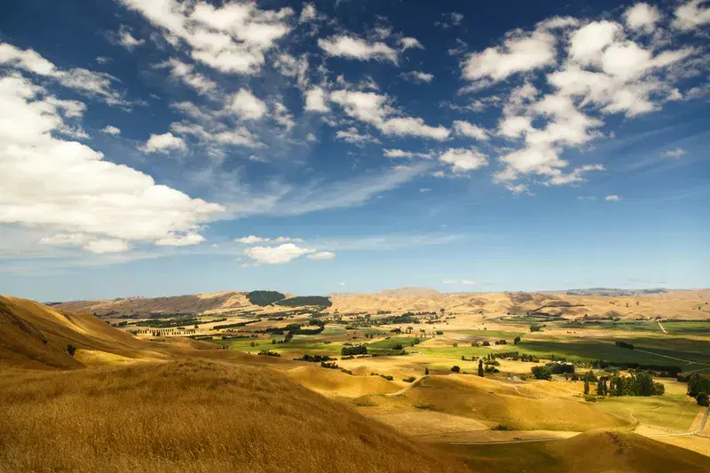 Cover Image for Finding Peace in Nature: The Benefits of Connecting with the Outdoors