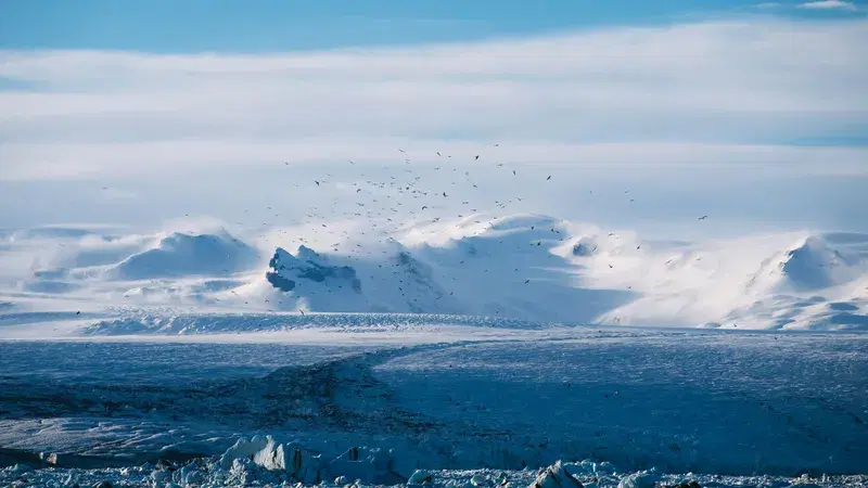 Cover Image for Finding Peace in Nature: Embracing the Arctic Plains