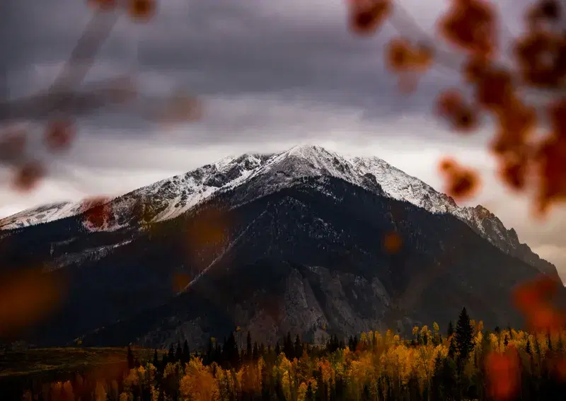 Cover Image for Finding Peace in Nature: The Benefits of Autumn Forests