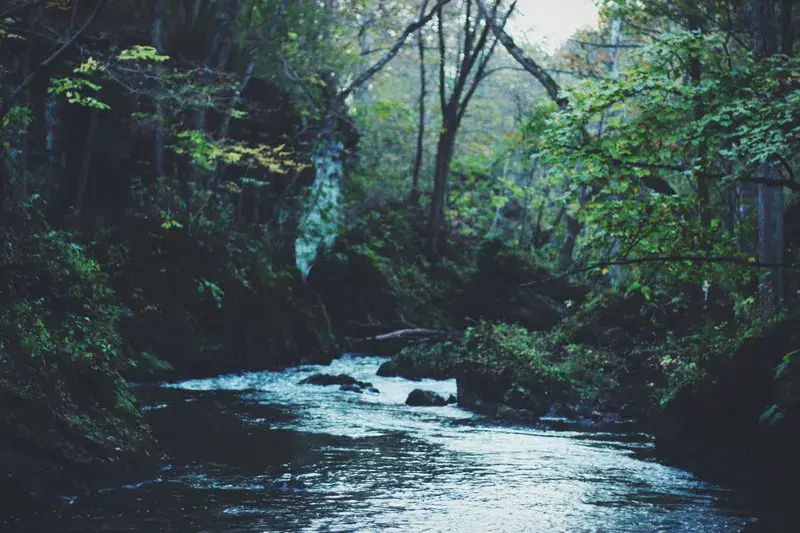 Cover Image for Finding Peace in Nature: The Benefits of Spending Time Near Water