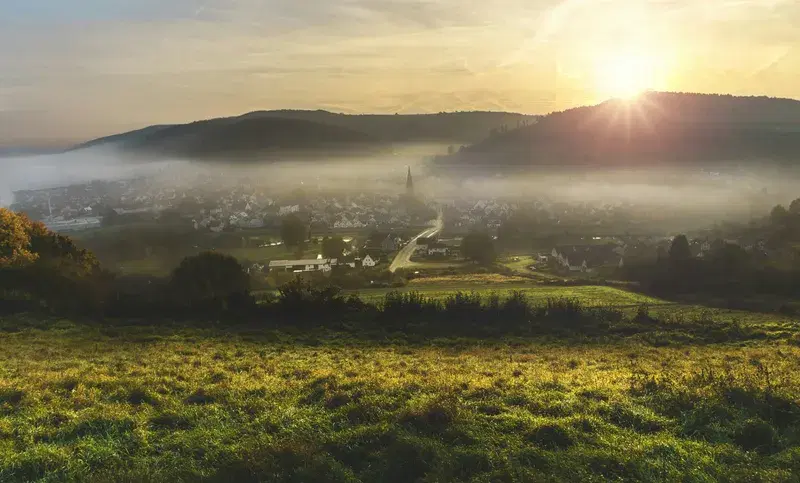 Cover Image for Finding Peace in Nature: Embracing Foggy Cityscapes