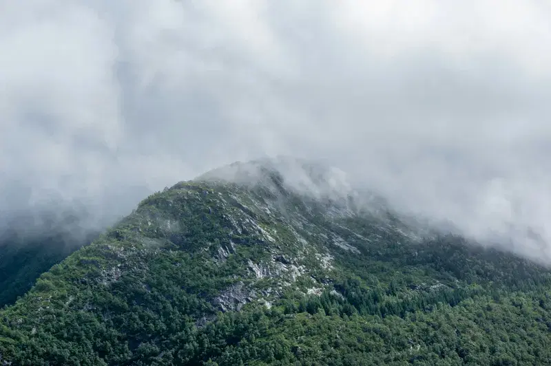 Cover Image for Finding Peace in Nature: Exploring Fog-Shrouded Mountain Ridges
