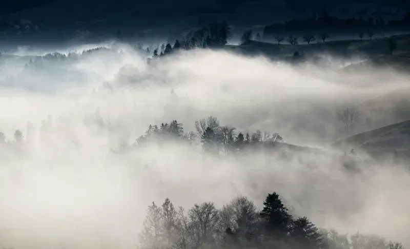 Cover Image for Finding Peace in Nature: The Benefits of Foggy Landscapes