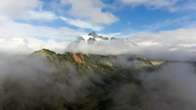 Cover Image for Finding Peace in Nature: The Benefits of Foggy Mountain Landscapes
