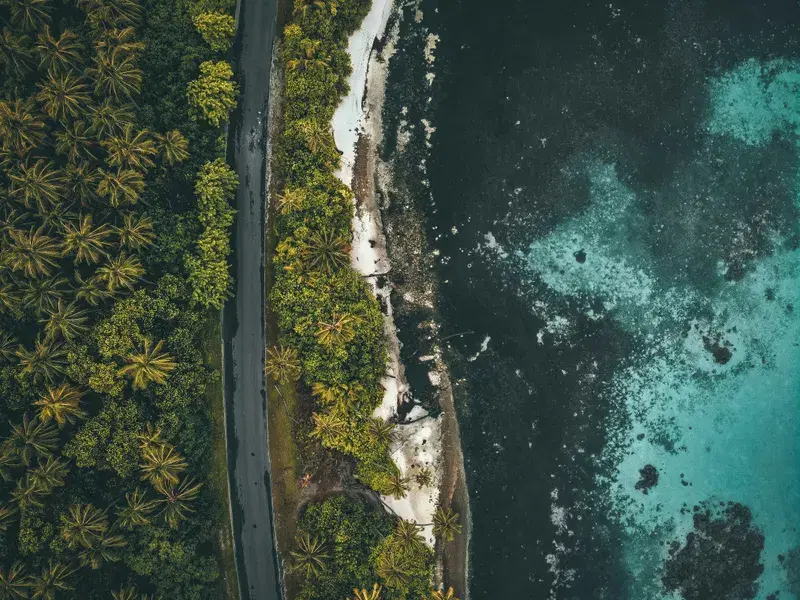 Cover Image for Finding Peace in Nature: The Healing Power of Coastal Landscapes