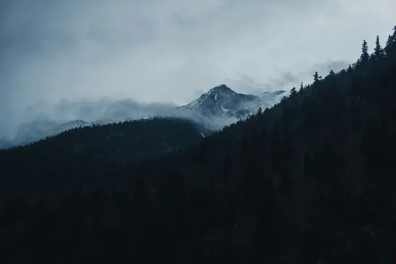 Cover Image for Finding Peace in Nature: The Healing Power of Green Mountains