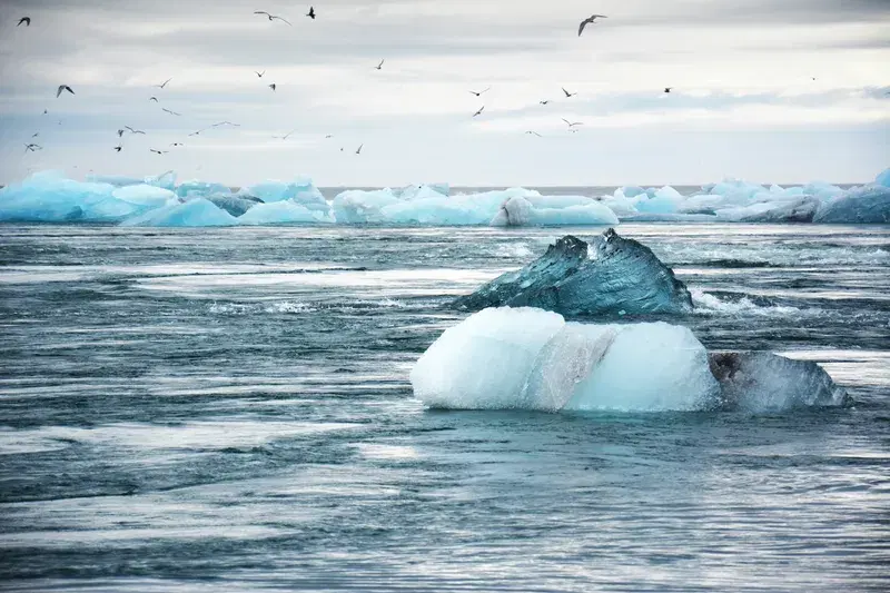 Cover Image for Finding Peace in Nature: The Calming Influence of Icebergs