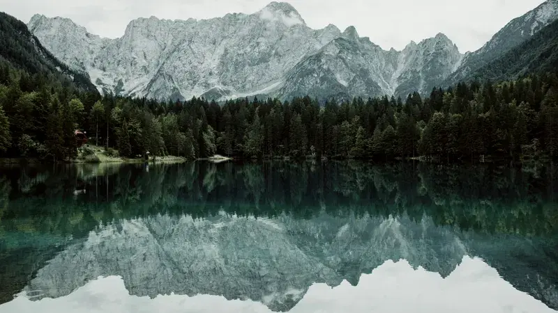 Cover Image for Finding Peace in Nature: The Benefits of Lake and Forest Reflections