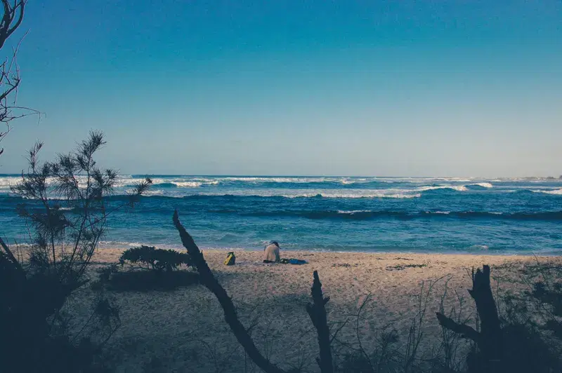 Cover Image for Finding Peace in Nature: The Healing Power of Ocean Waves