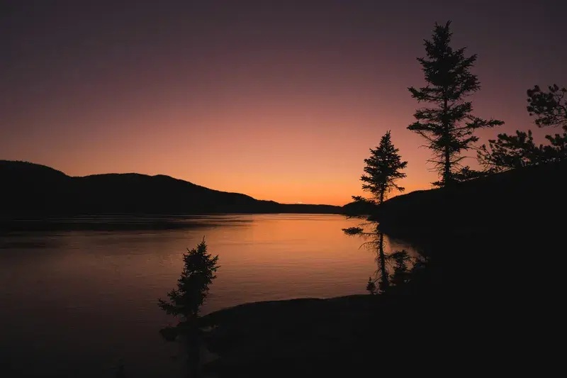 Cover Image for Finding Peace in Nature: The Benefits of Outdoor Meditation