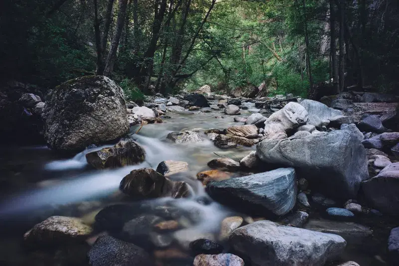 Cover Image for Finding Peace in Nature: A Guide to Mindfulness through Outdoor Photography