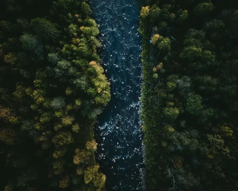 Cover Image for Finding Peace in Nature: The Benefits of River Walks