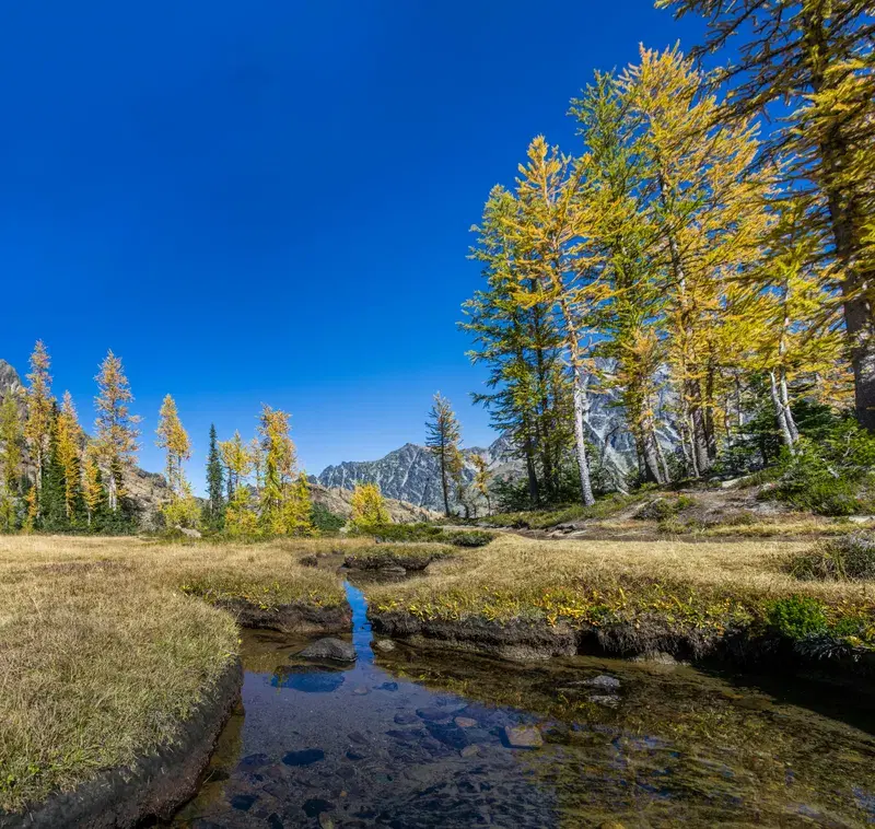 Cover Image for Finding Peace in Nature: The Benefits of Spending Time by a Stream