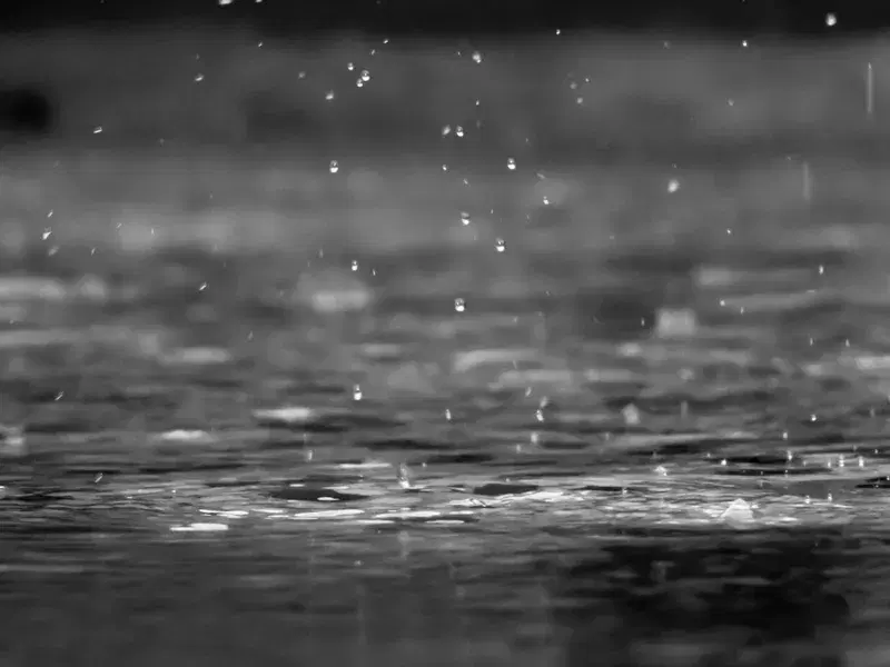 Cover Image for Finding Peace in Nature: The Therapeutic Benefits of Rain